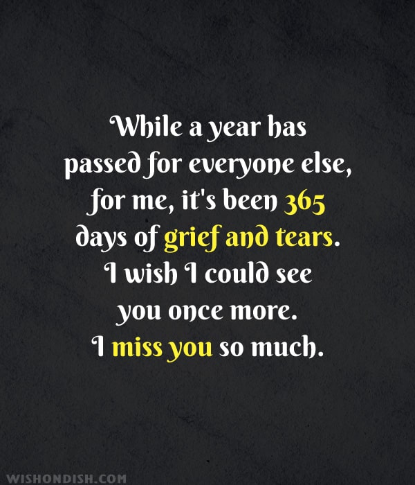 While a year has passed for everyone else, for me, it's been 365 days of grief and tears. I wish I could see you once more. I miss you so much.