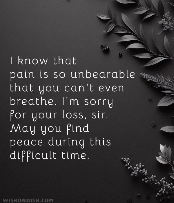 I know that pain is so unbearable that you can't even breathe. I'm sorry for your loss, sir. May you find peace during this difficult time.