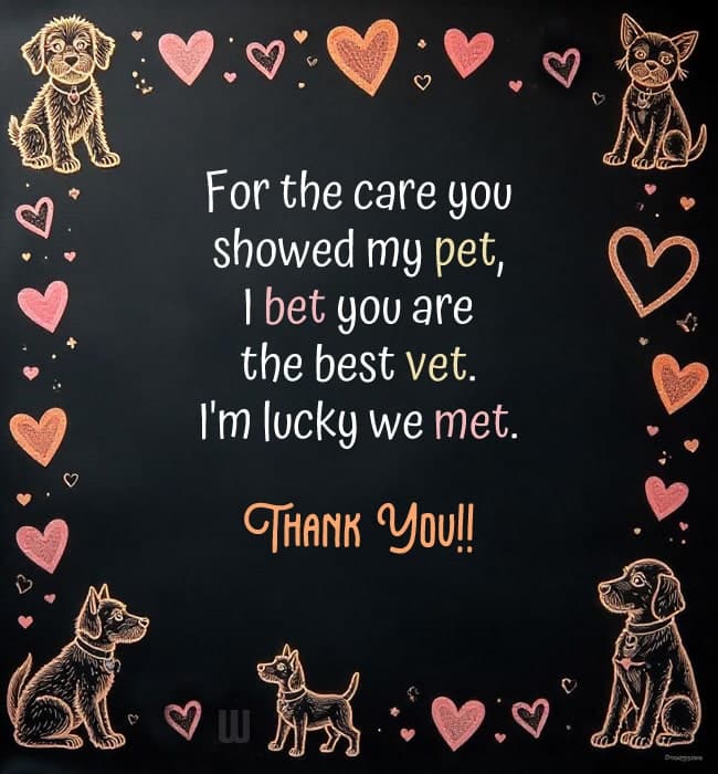 For the care you showed my pet, I bet you are the best vet. I'm lucky we met.